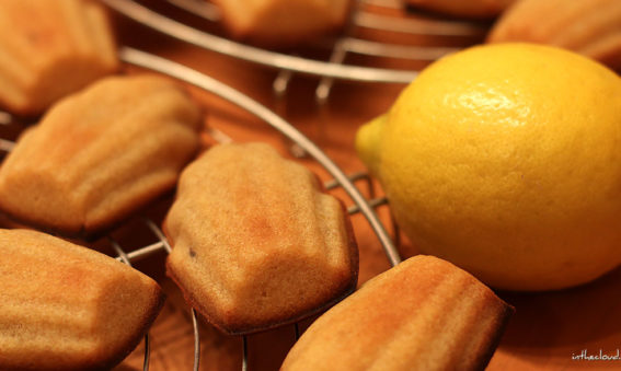 Les madeleines au citron de Valériane (La Meilleure Pâtissière Belge 2018)