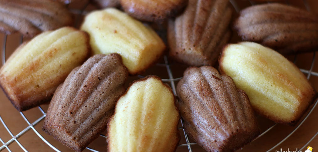 Madeleines vanille chocolat