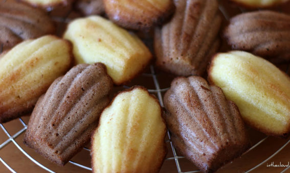 Madeleines vanille chocolat